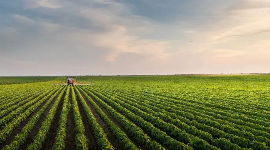 مراقبة المحصول