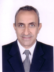 Prof. Ayman